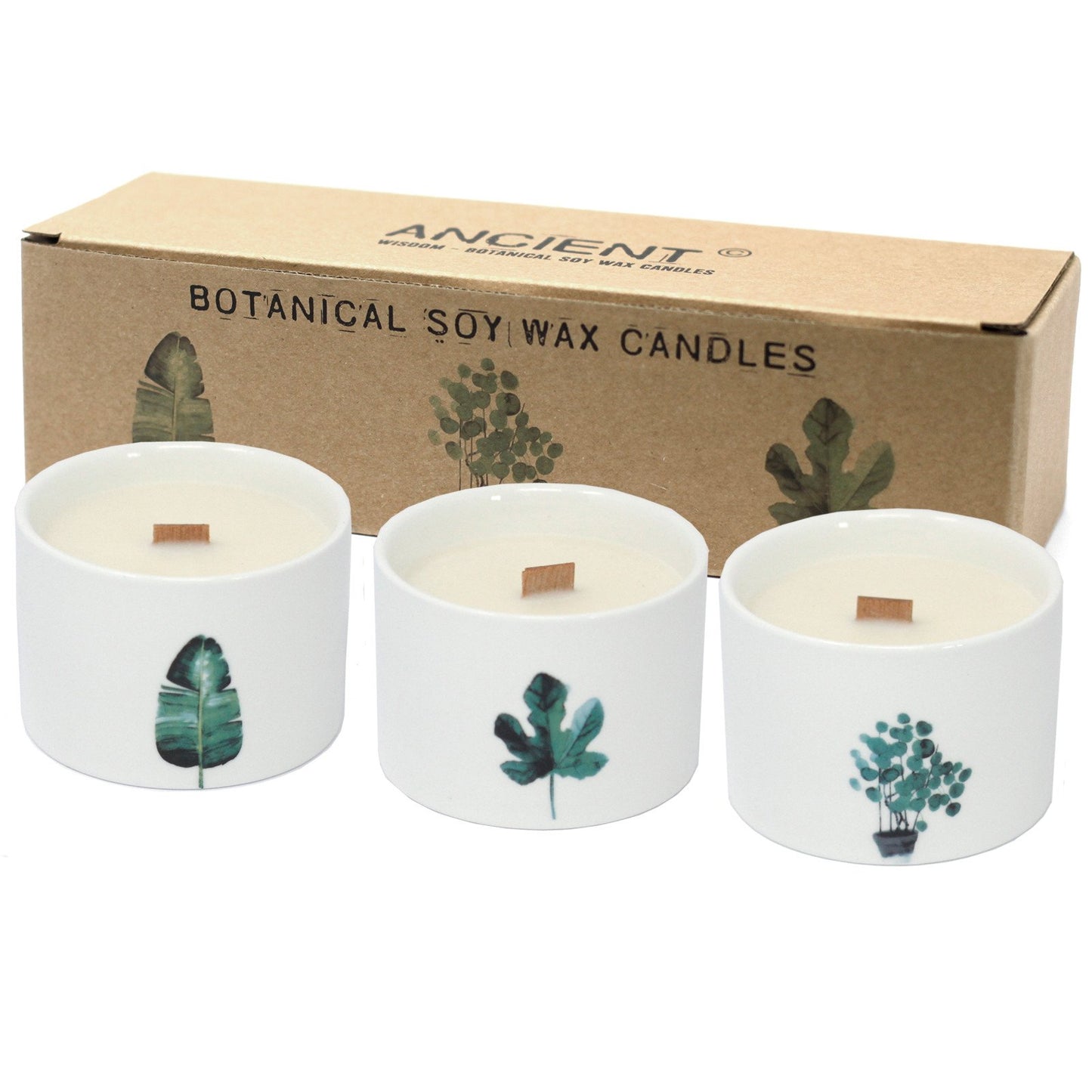 Honeysuckle Lemon Botanical Candle | #product_category# - OneRoofGifts