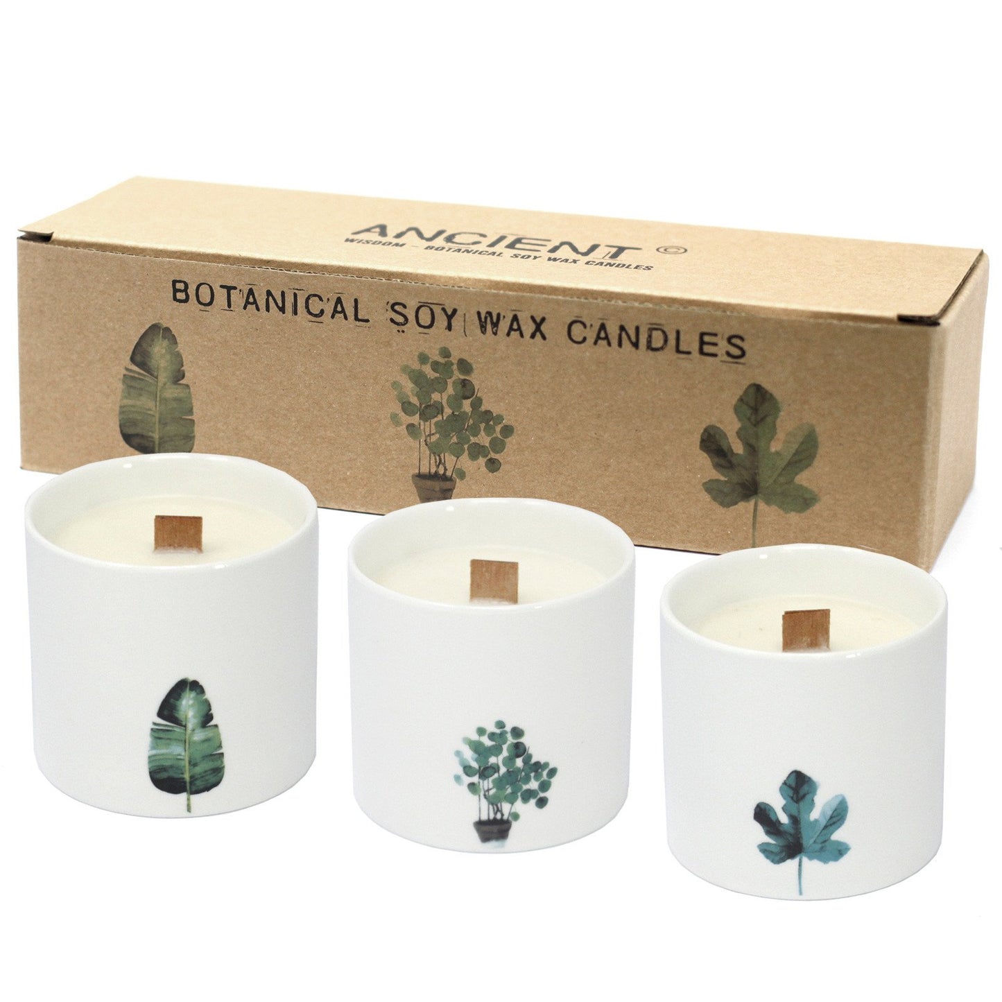 Viola Botanical Candle, Large Marsh | #product_category# - OneRoofGifts