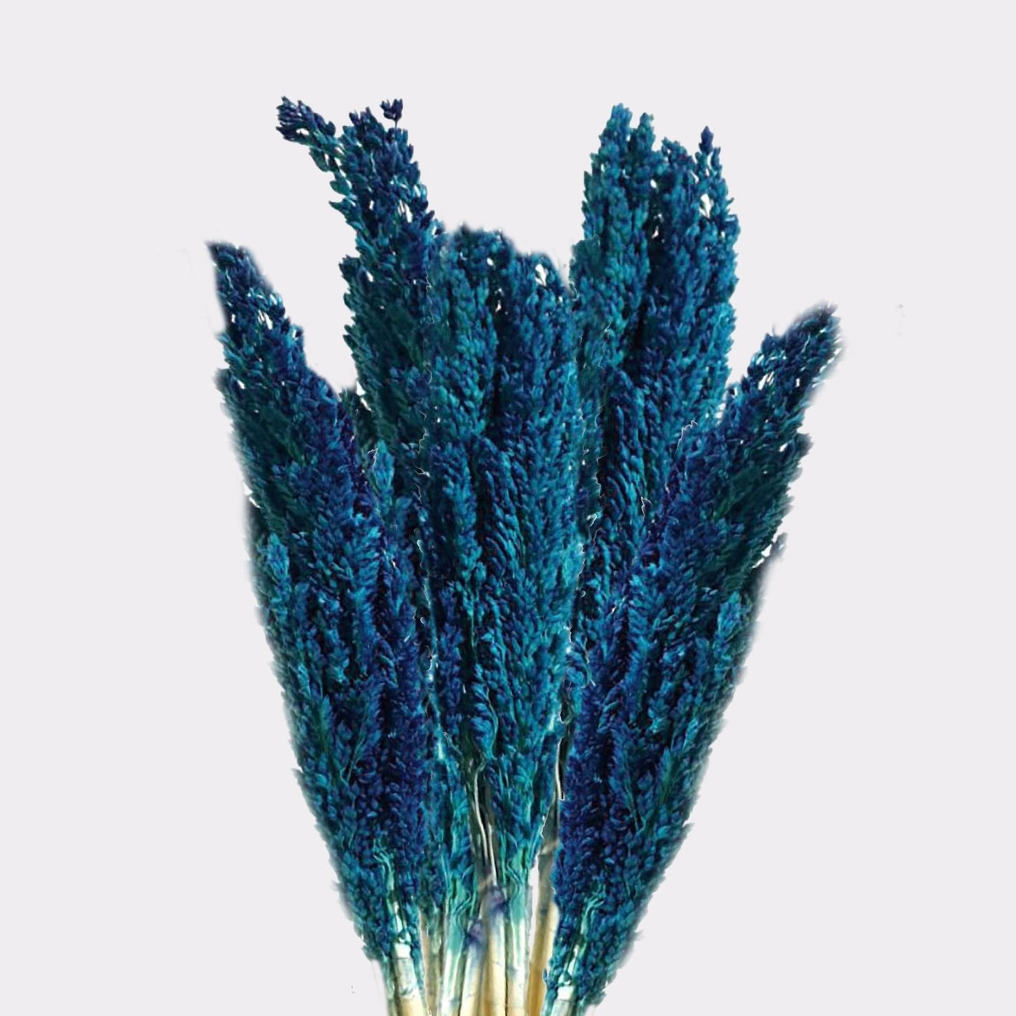 Blue Cantal Dried Grass Bunch | #product_category# - OneRoofGifts