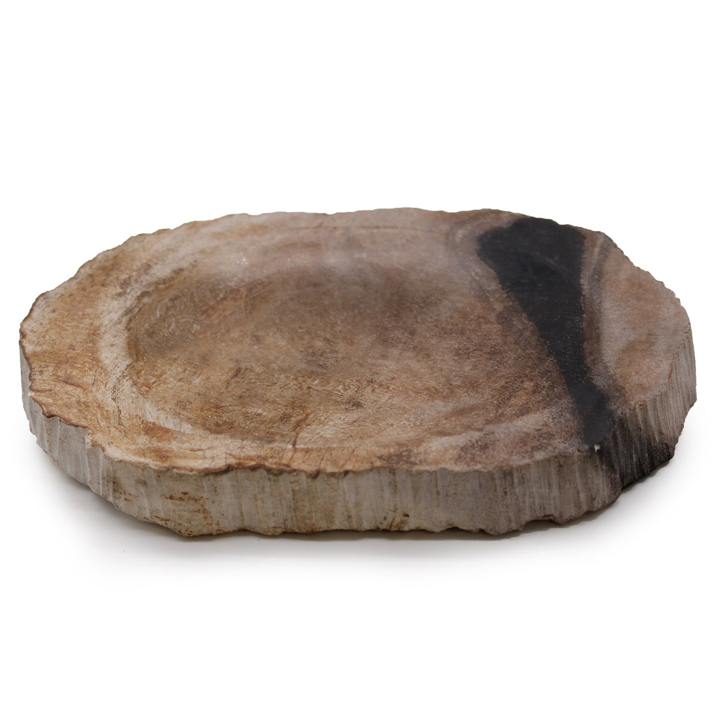 Black Petrified Wood Soap Dish | #product_category# - OneRoofGifts