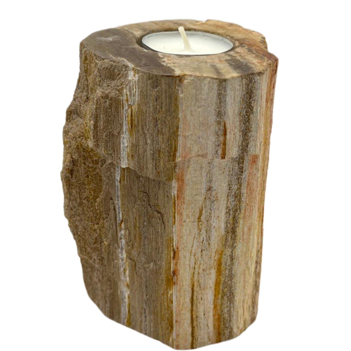 Single Petrified Wood Tall Candle Holder | #product_category# - OneRoofGifts