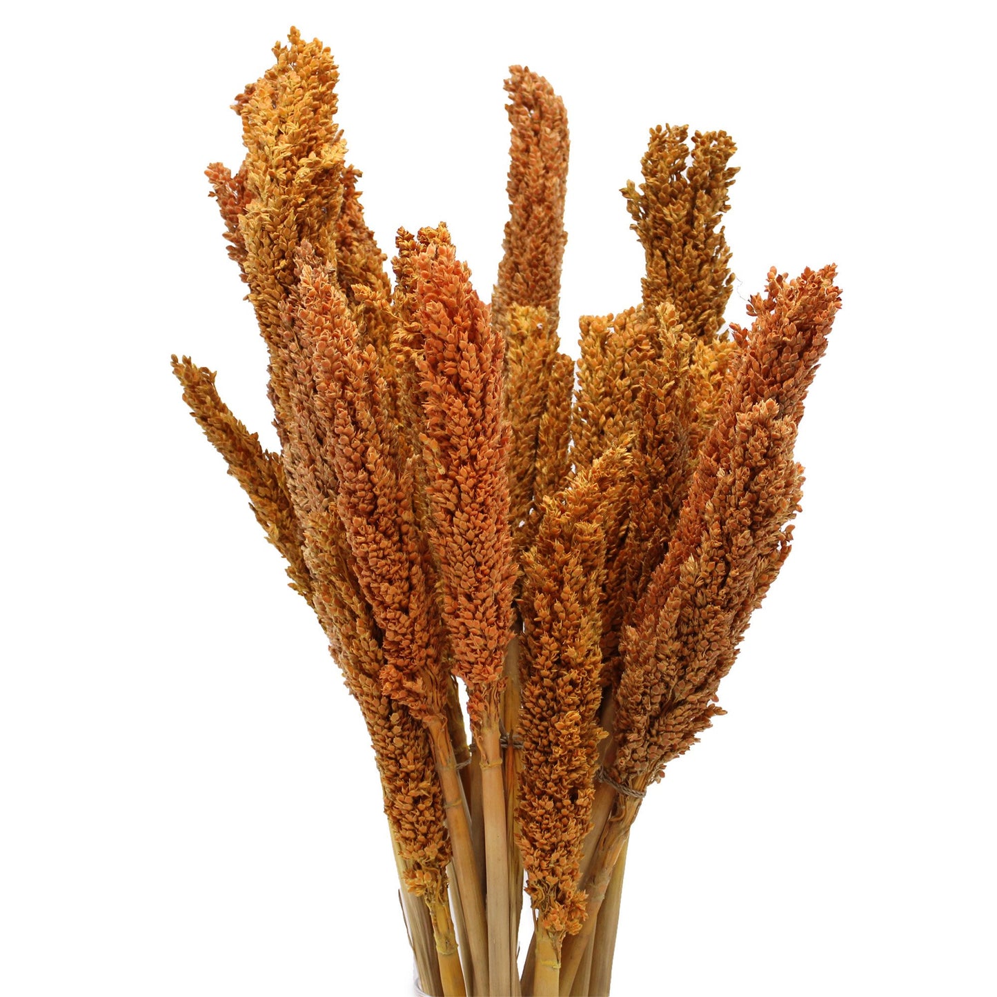 Orange Cantal Grass Bunch | #product_category# - OneRoofGifts