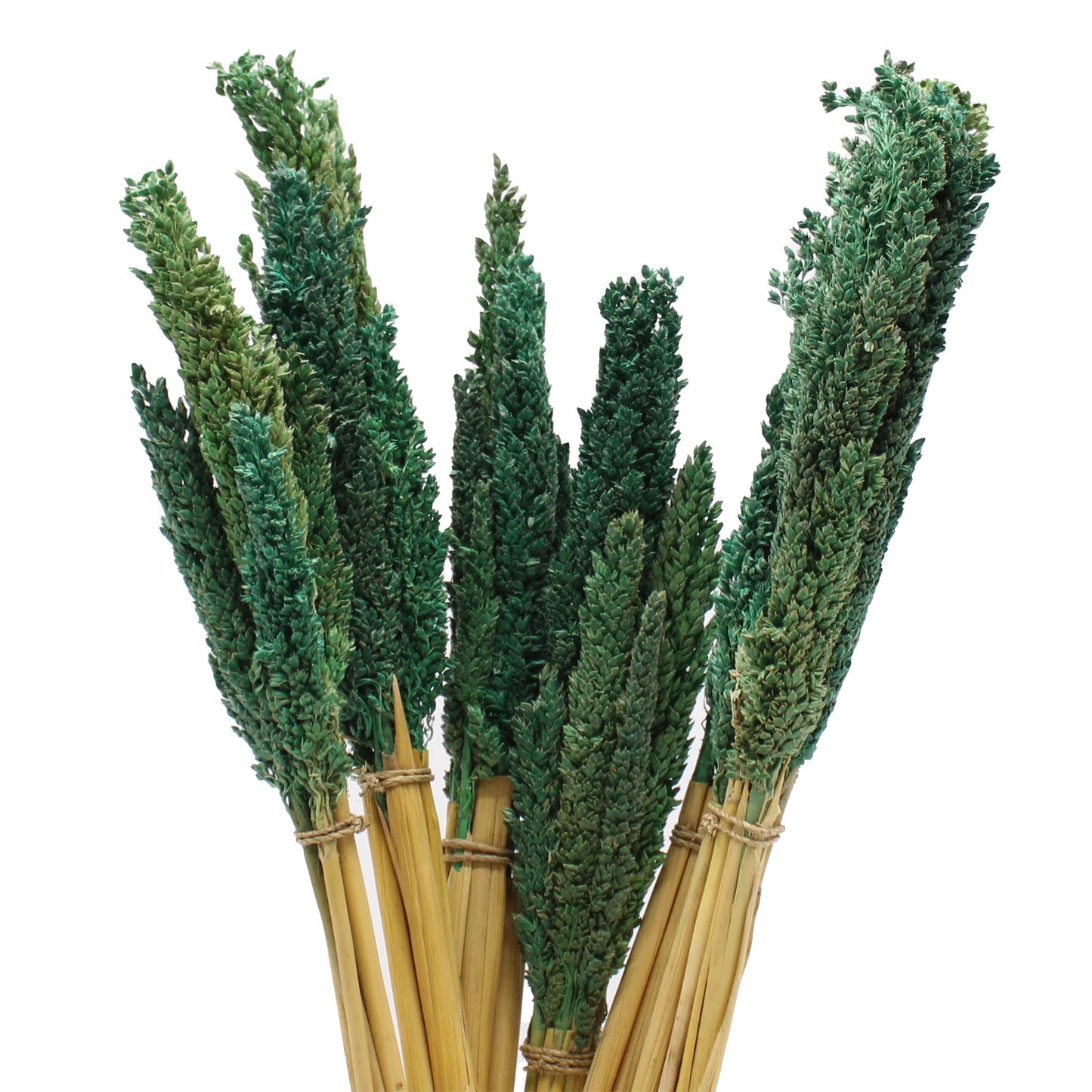 Teal Cantal Grass Bunch | #product_category# - OneRoofGifts