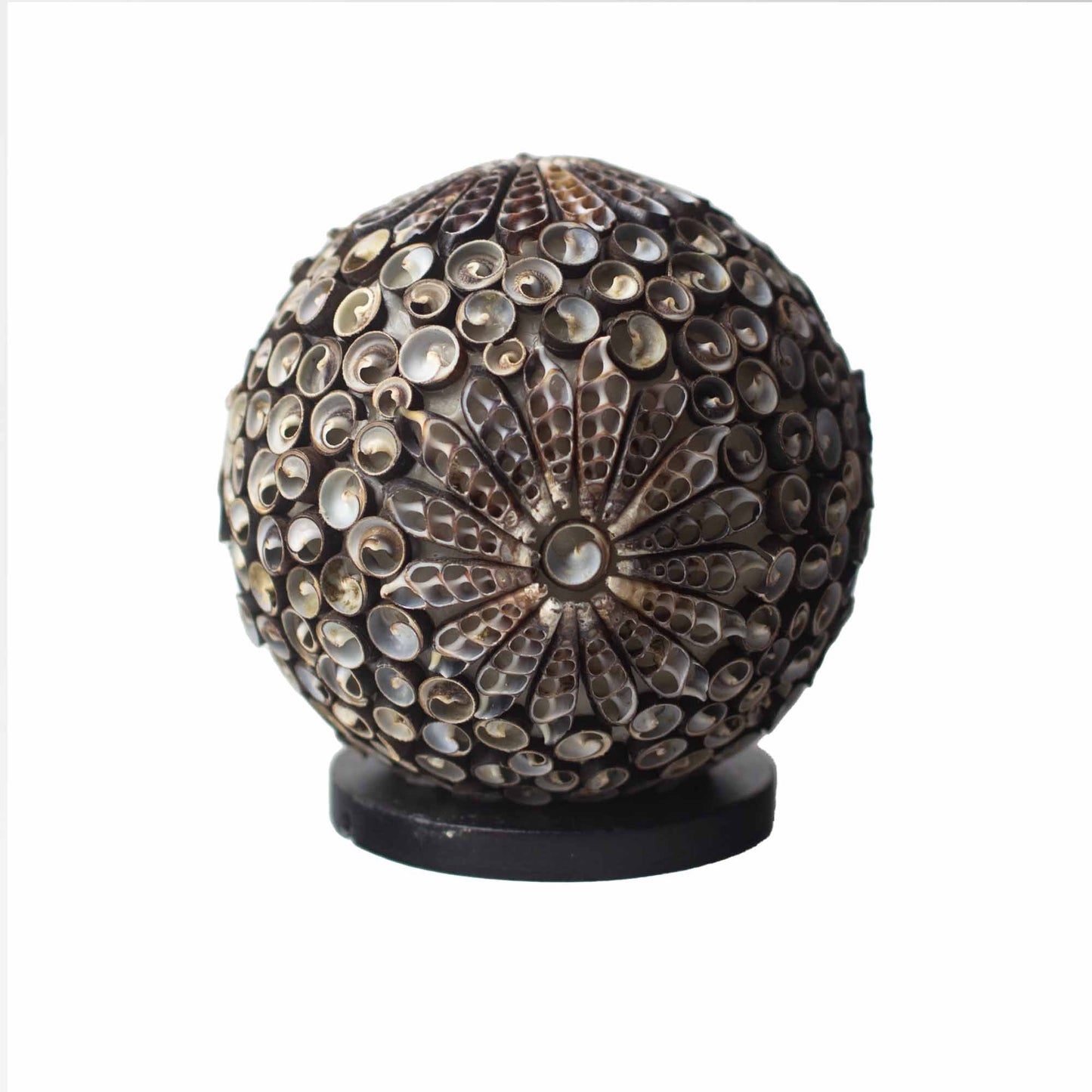 15cm Boho Chocolate Twist Globe Sea Shell Lamp | #product_category# - OneRoofGifts
