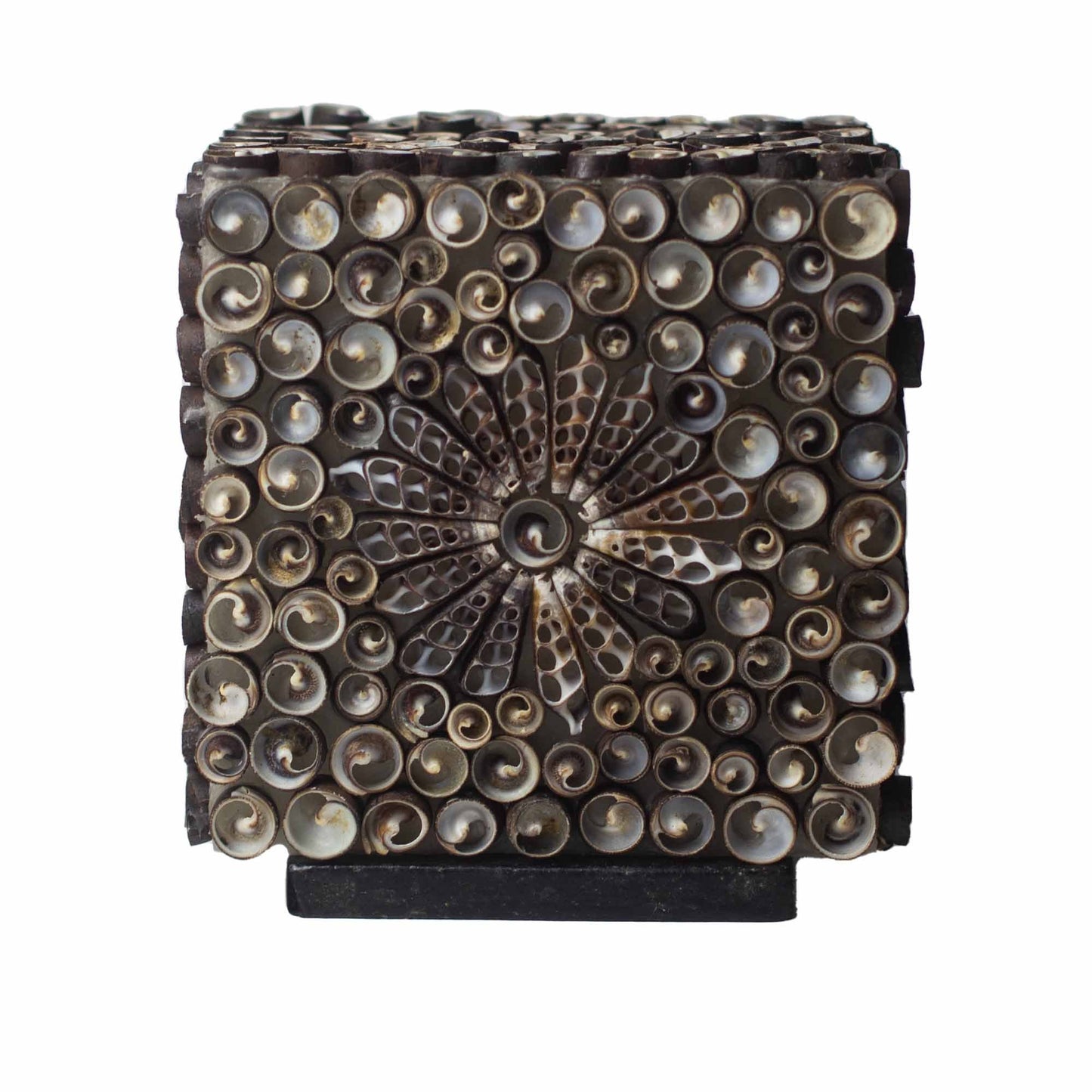 15cm Boho Sea Shell Lamp, Chocolate Twist, Square Shape | #product_category# - OneRoofGifts