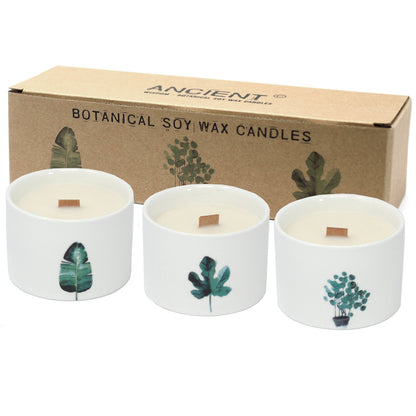 Honeysuckle Lemon Botanical Candle | #product_category# - OneRoofGifts