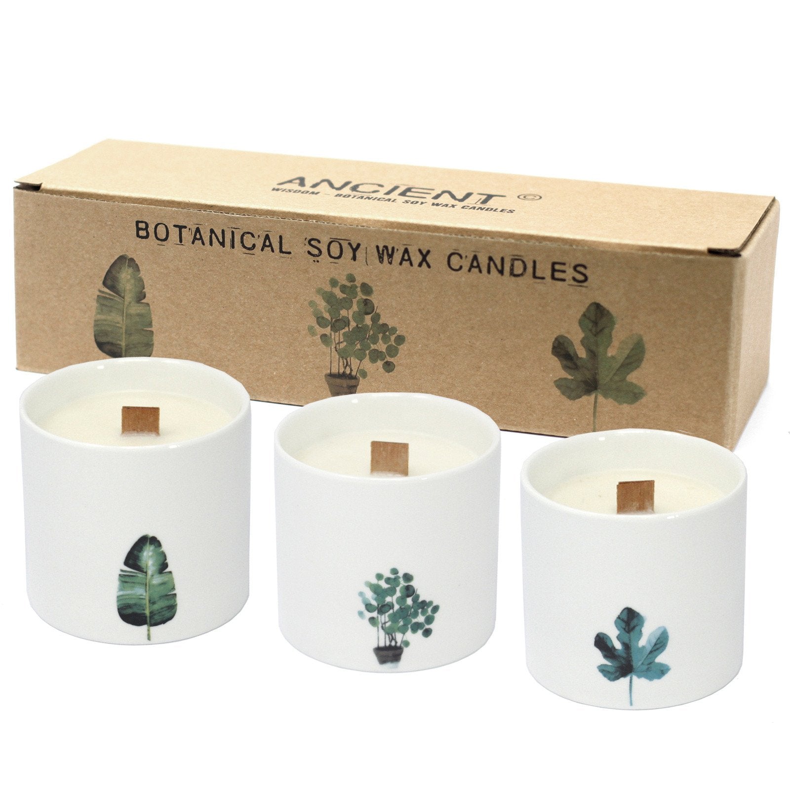 Viola Botanical Candle, Large Marsh | #product_category# - OneRoofGifts