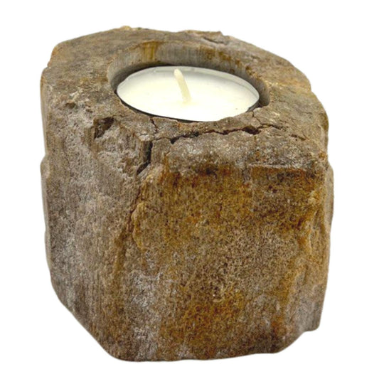 Petrified Wood Candle Holder, Single Low | #product_category# - OneRoofGifts