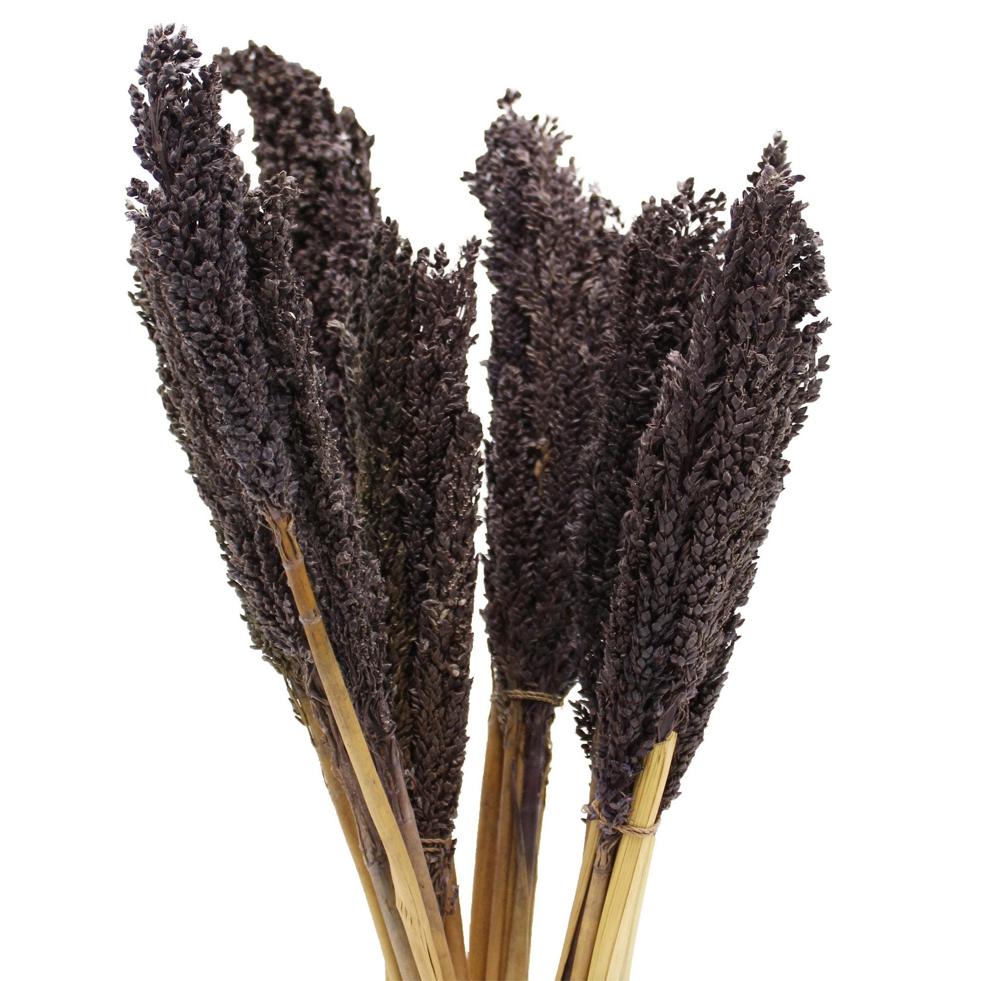 Black Cantal Grass Bunch | #product_category# - OneRoofGifts