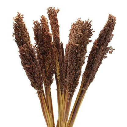 Cantal Grass Bunch, Chocolate Colored | #product_category# - OneRoofGifts