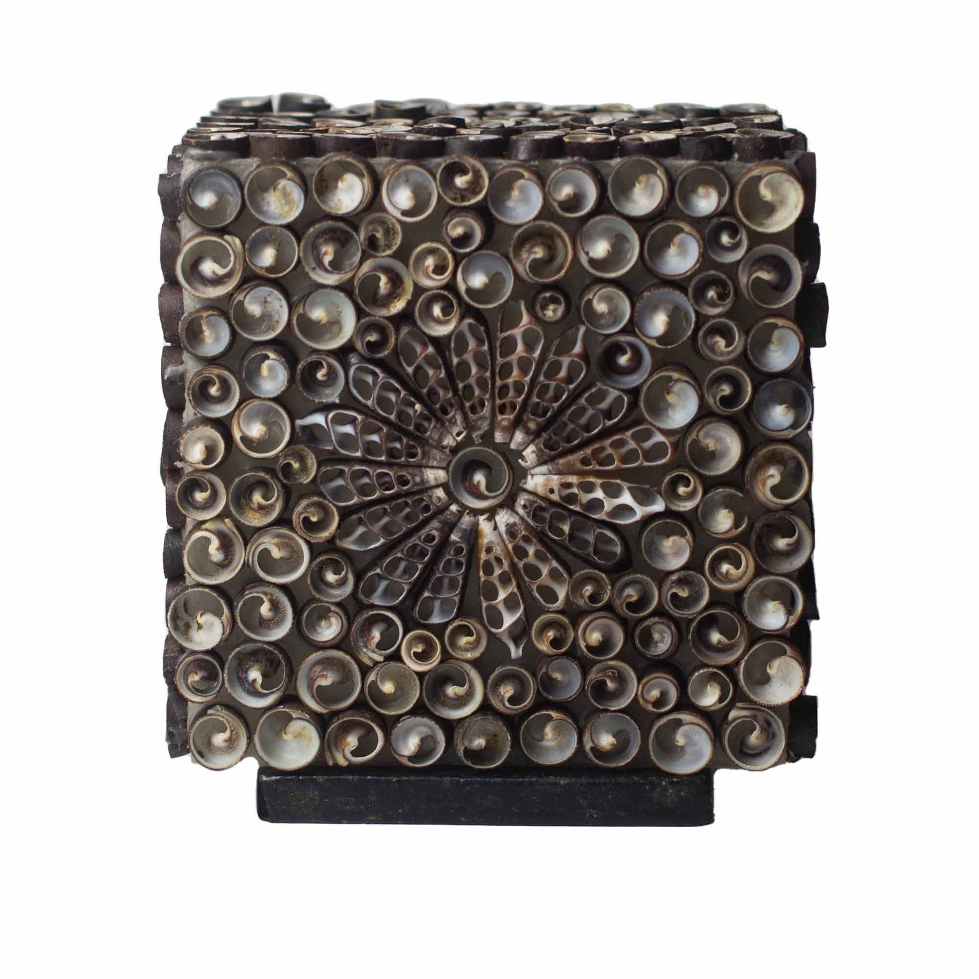 15cm Boho Sea Shell Lamp, Chocolate Twist, Square Shape | #product_category# - OneRoofGifts
