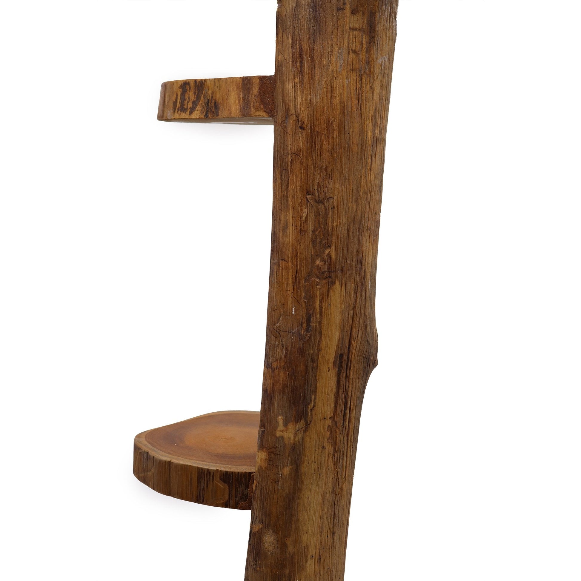 100 cm Natural Teak Log Display Shelf with 3 Shelves | #product_category# - OneRoofGifts