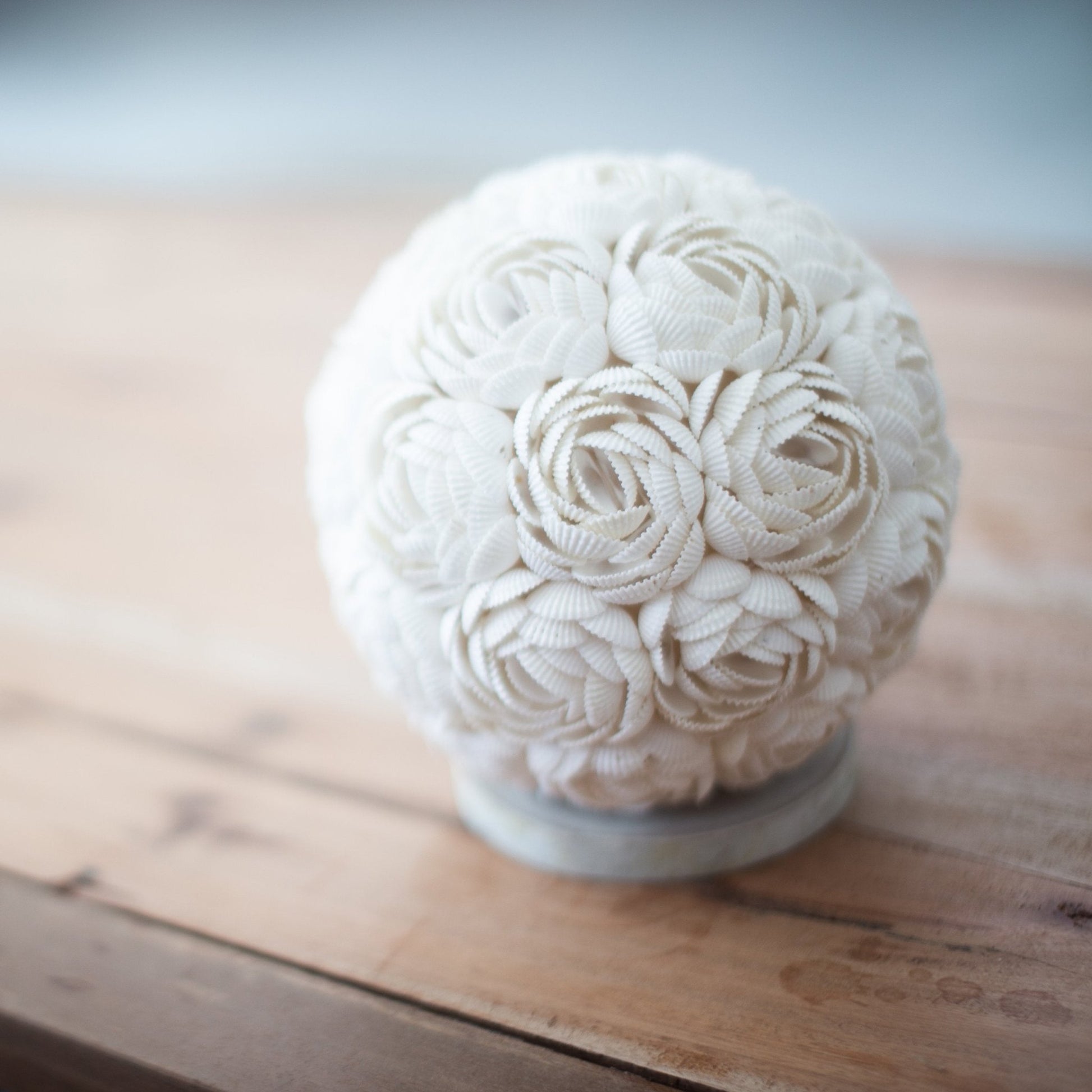 15cm Boho Rose Globe Sea Shell Lamp | #product_category# - OneRoofGifts