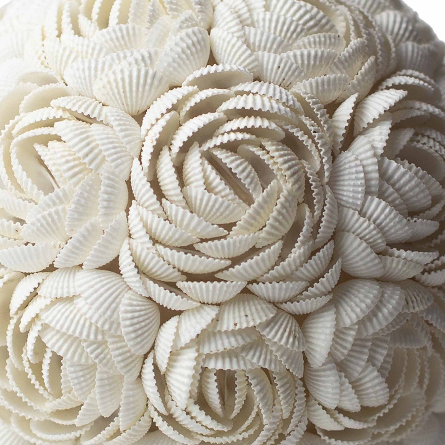 15cm Boho Rose Globe Sea Shell Lamp | #product_category# - OneRoofGifts