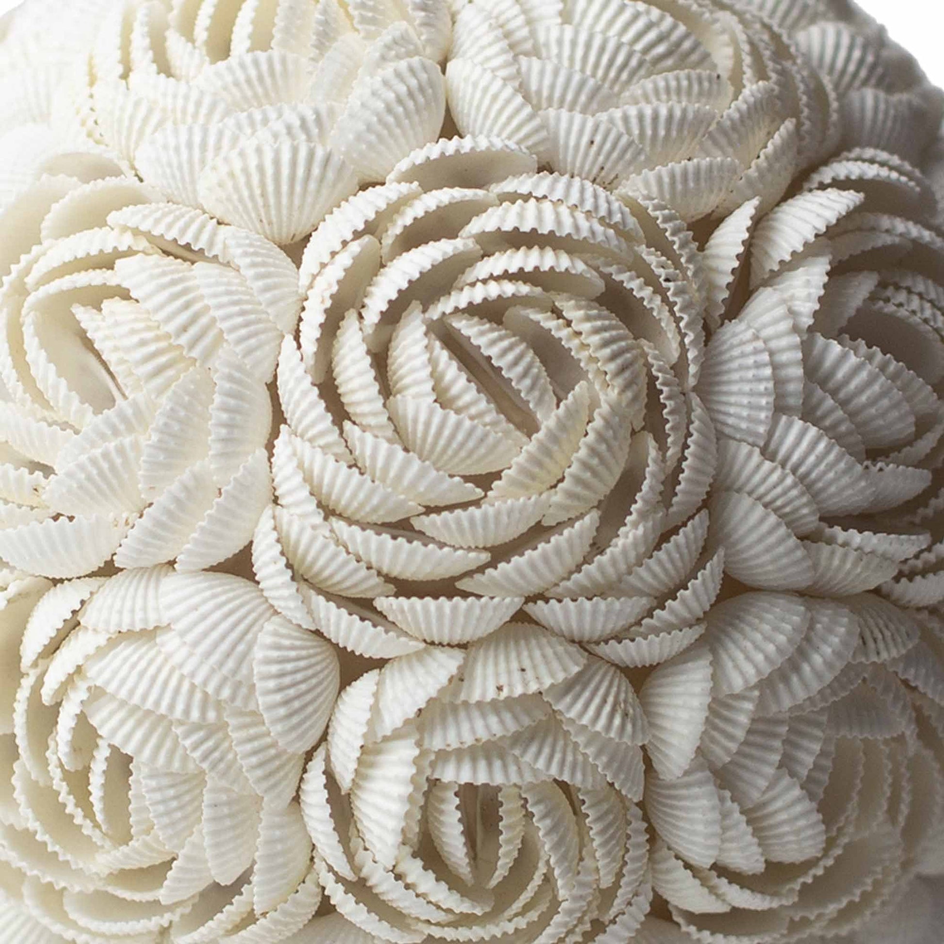 20cm Boho Rose Oval Sea Shell Lamp | #product_category# - OneRoofGifts