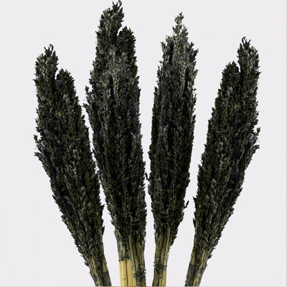 Black Cantal Grass Bunch | #product_category# - OneRoofGifts