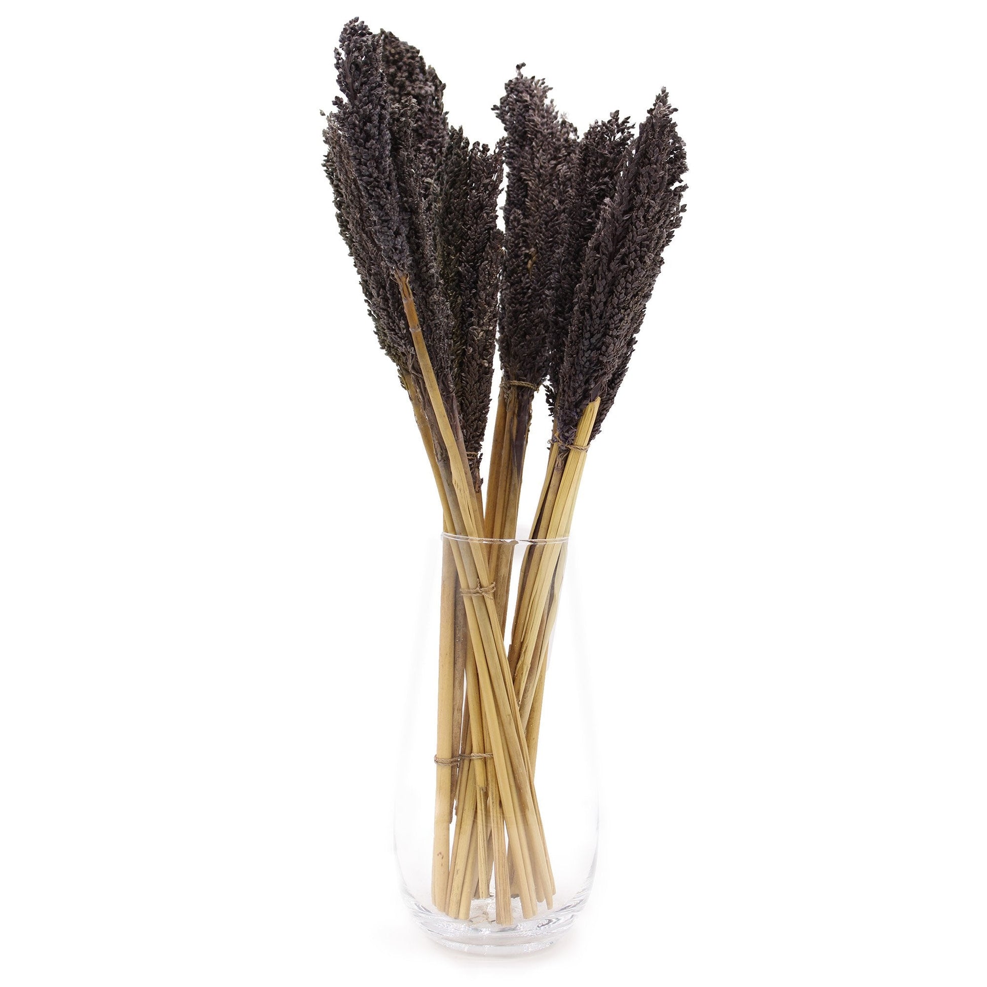 Black Cantal Grass Bunch | #product_category# - OneRoofGifts
