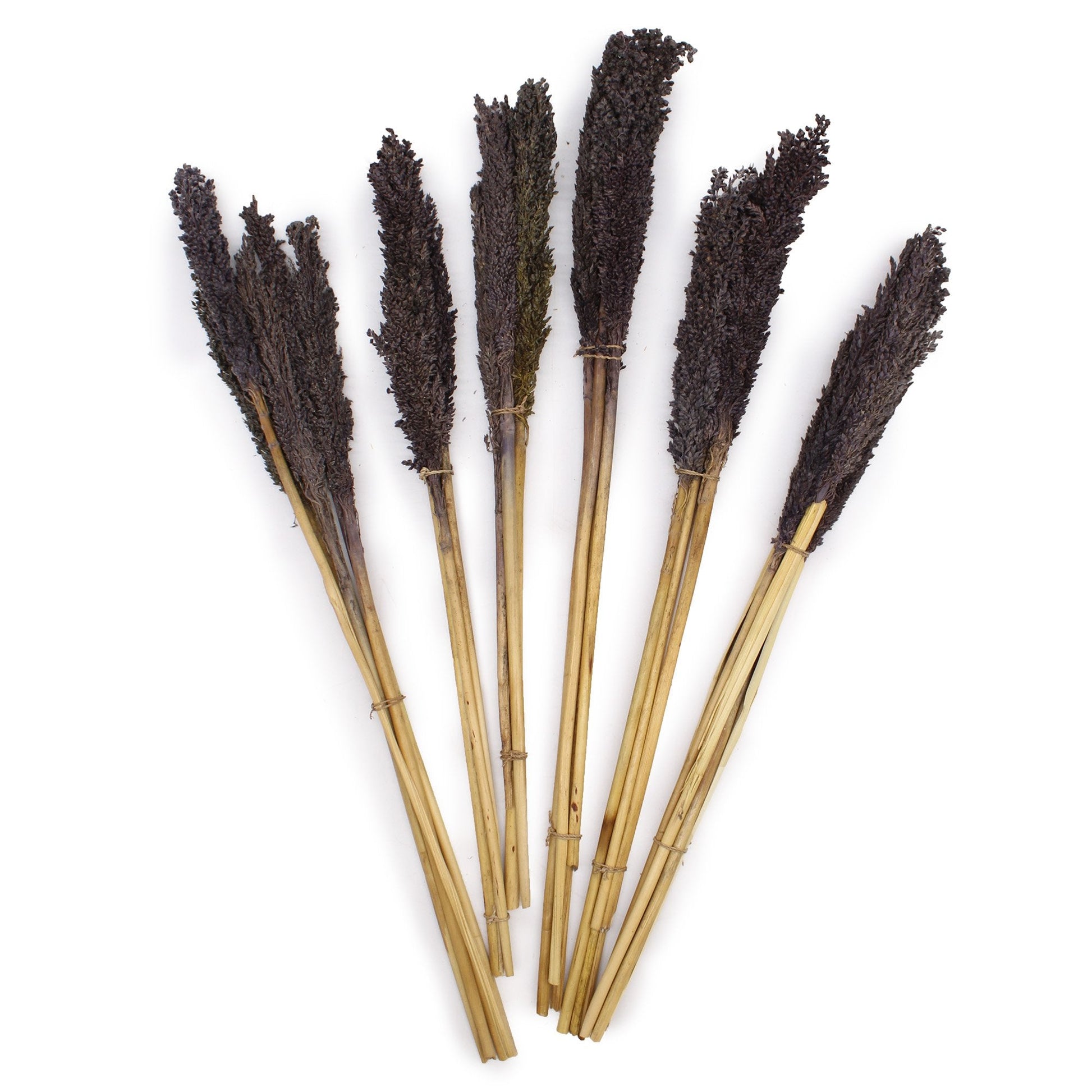 Black Cantal Grass Bunch | #product_category# - OneRoofGifts