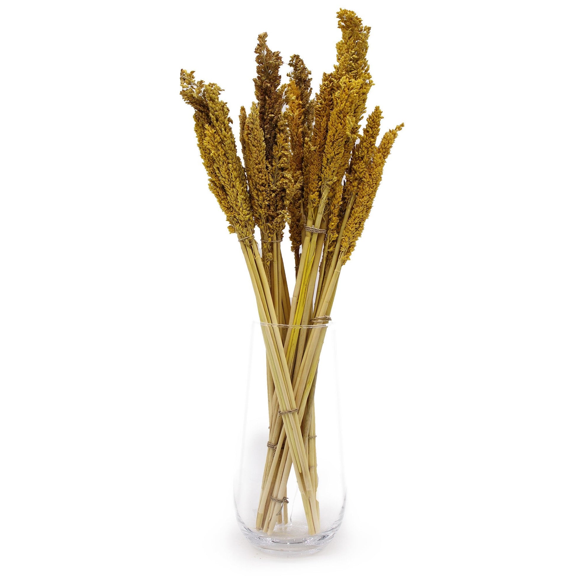Cantal Grass Bunch - Amber | #product_category# - OneRoofGifts