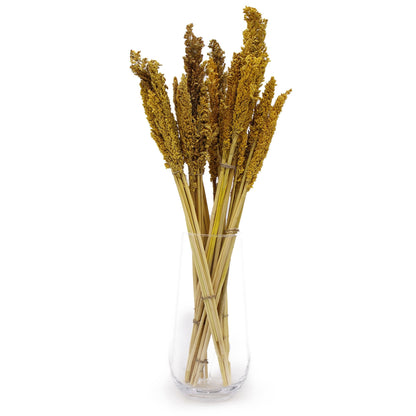 Cantal Grass Bunch - Amber | #product_category# - OneRoofGifts