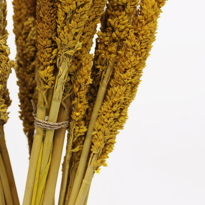 Cantal Grass Bunch - Amber | #product_category# - OneRoofGifts