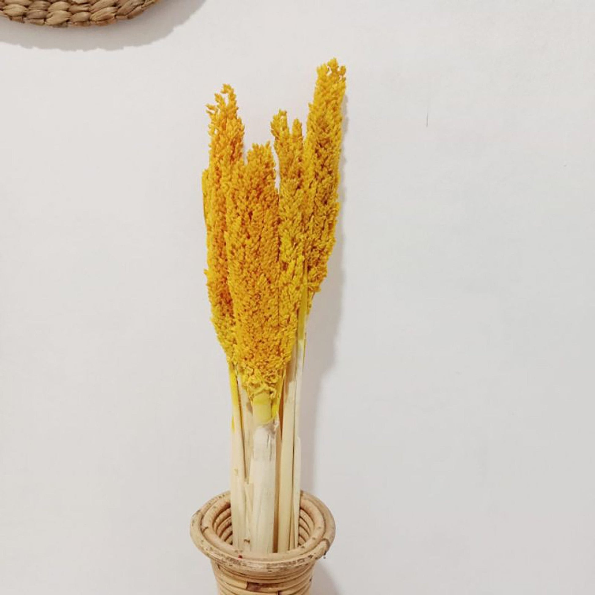 Cantal Grass Bunch - Amber | #product_category# - OneRoofGifts