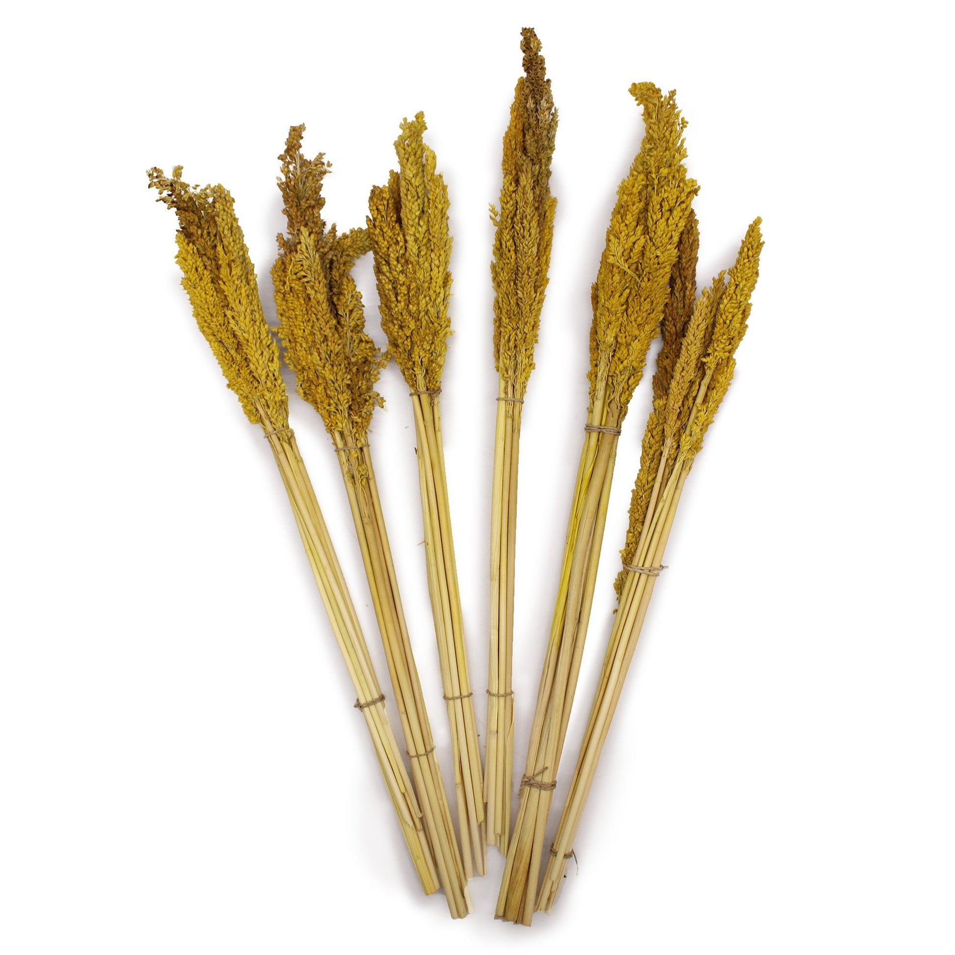 Cantal Grass Bunch - Amber | #product_category# - OneRoofGifts