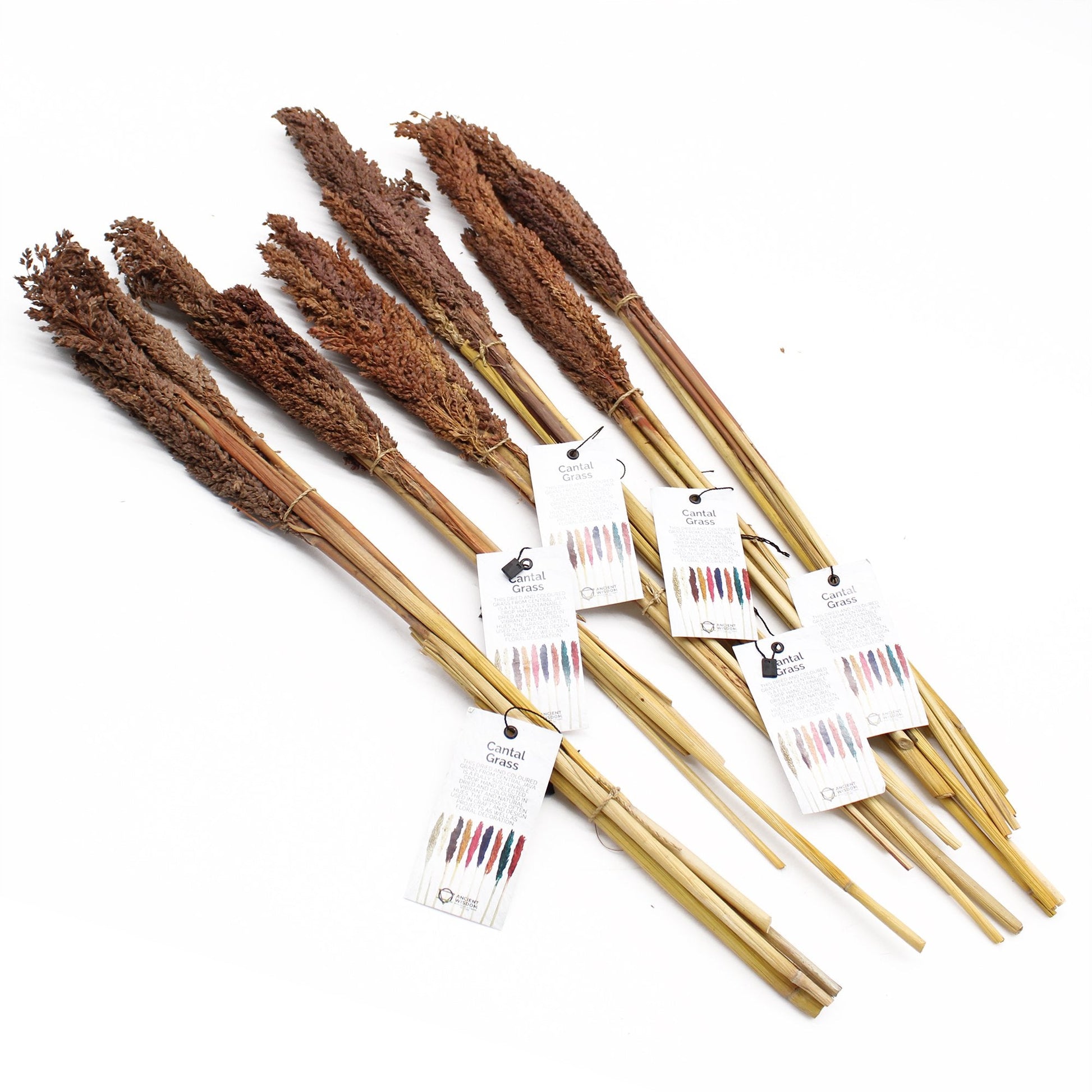 Cantal Grass Bunch, Chocolate Colored | #product_category# - OneRoofGifts