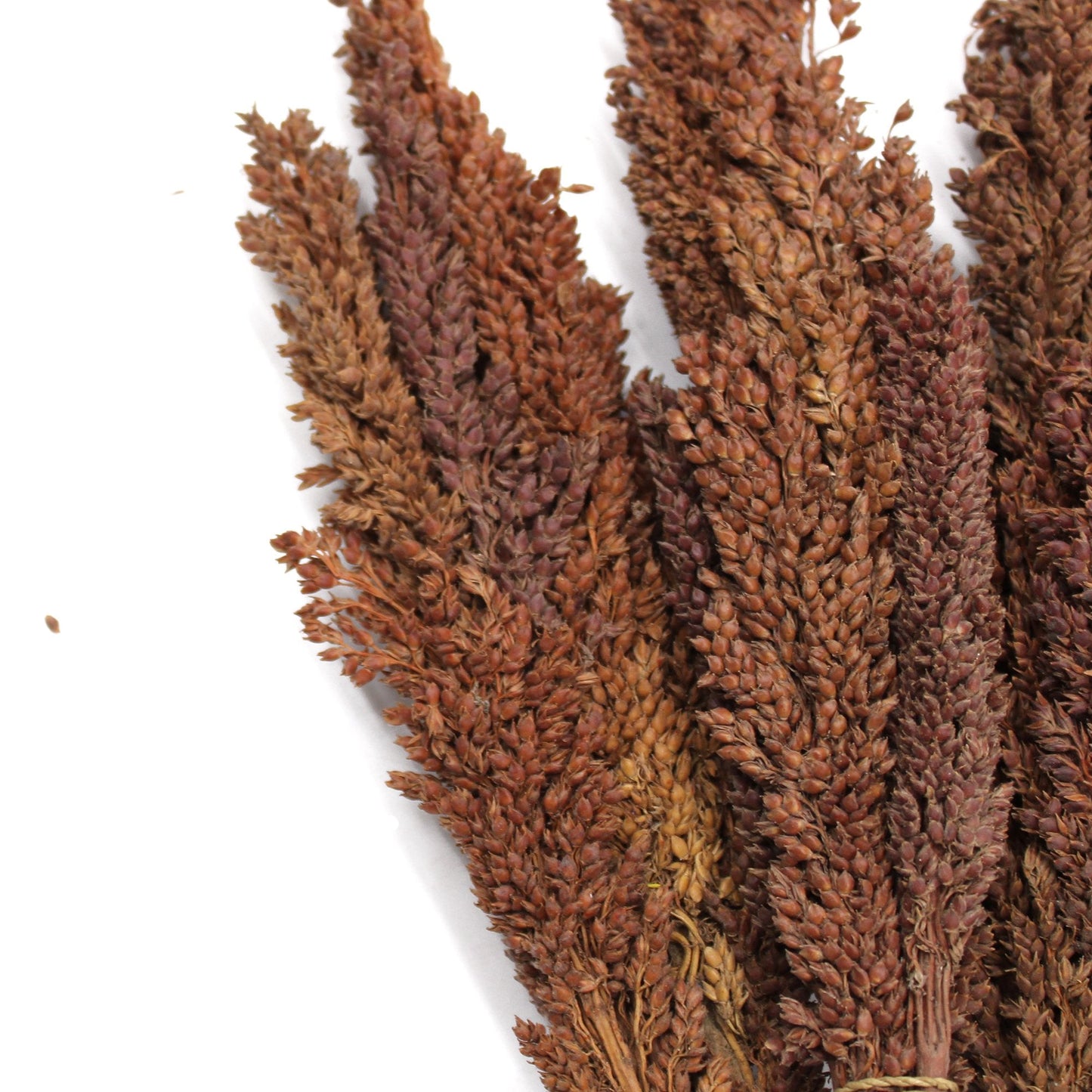 Cantal Grass Bunch, Chocolate Colored | #product_category# - OneRoofGifts