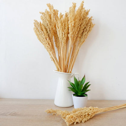 Cantal Grass Bunch - Natural | #product_category# - OneRoofGifts