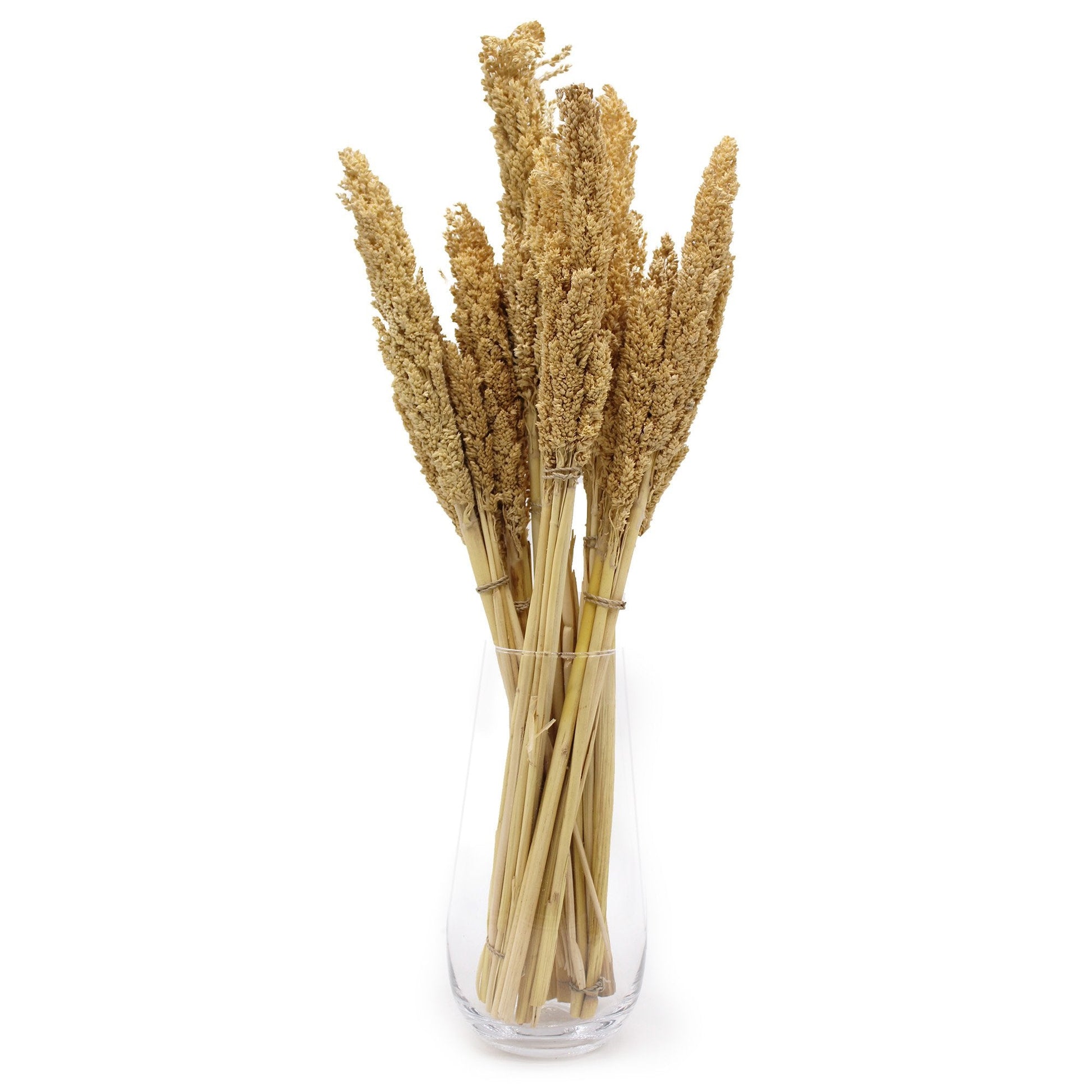 Cantal Grass Bunch - Natural | #product_category# - OneRoofGifts