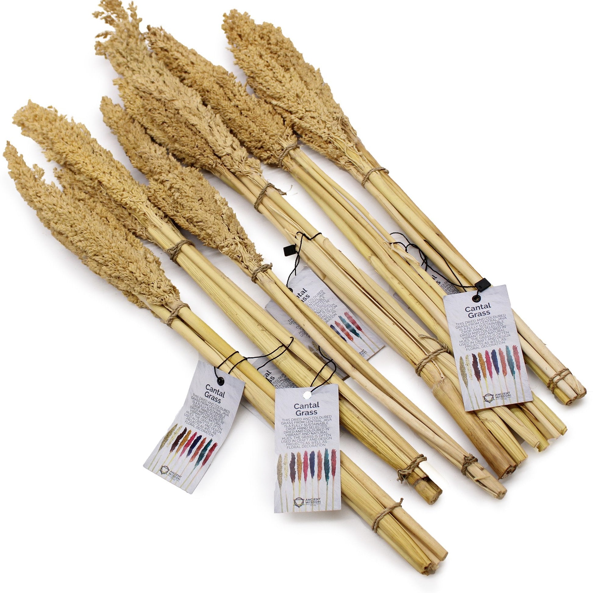 Cantal Grass Bunch - Natural | #product_category# - OneRoofGifts