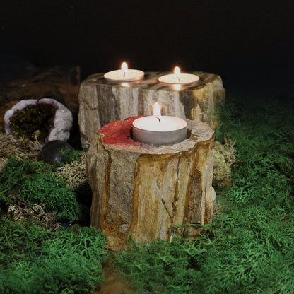 Double Candle Holder Petrified Wood | #product_category# - OneRoofGifts
