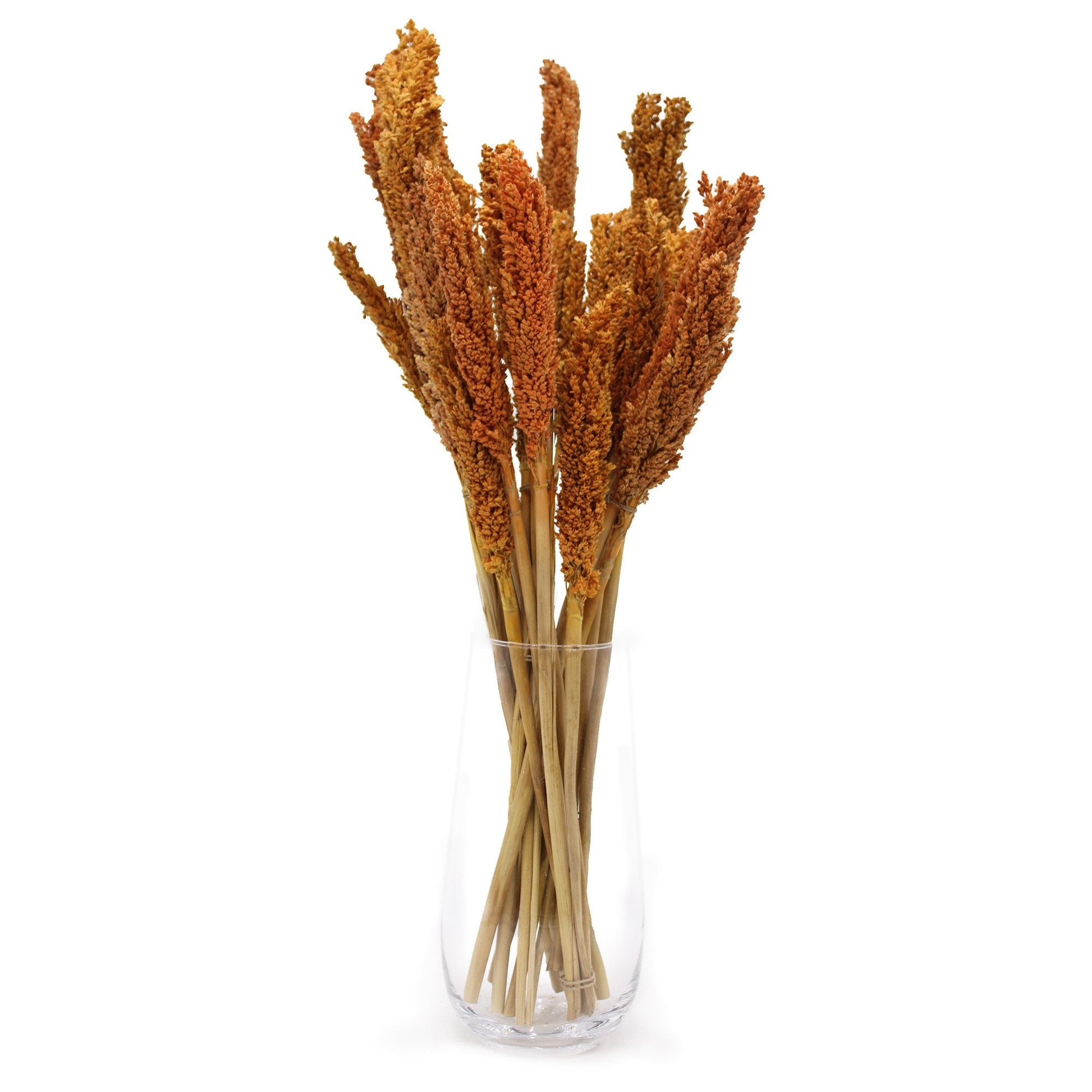 Orange Cantal Grass Bunch | #product_category# - OneRoofGifts