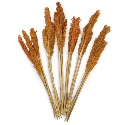 Orange Cantal Grass Bunch | #product_category# - OneRoofGifts