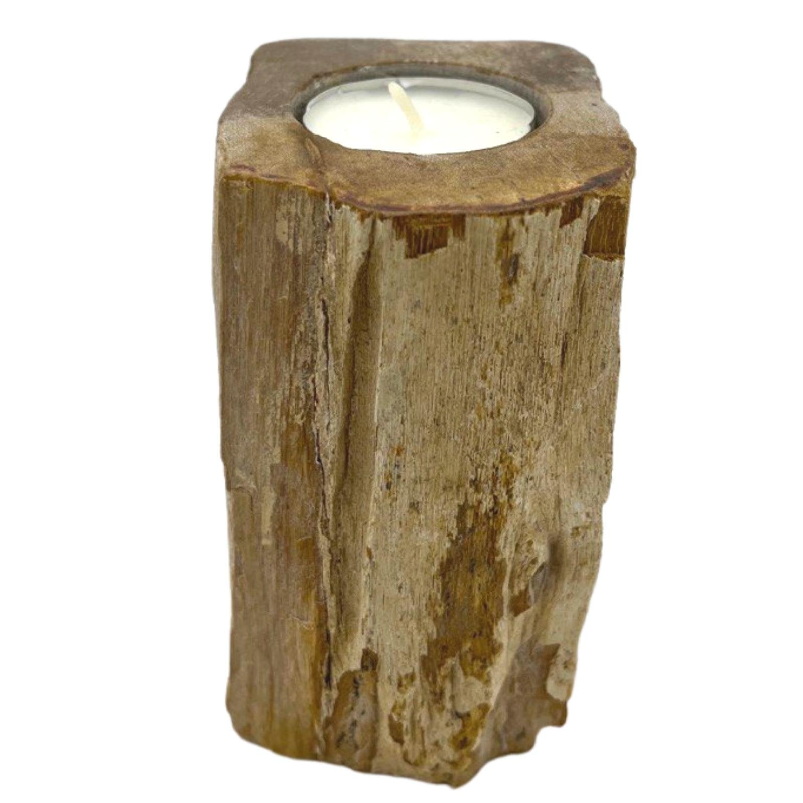 Single Petrified Wood Tall Candle Holder | #product_category# - OneRoofGifts