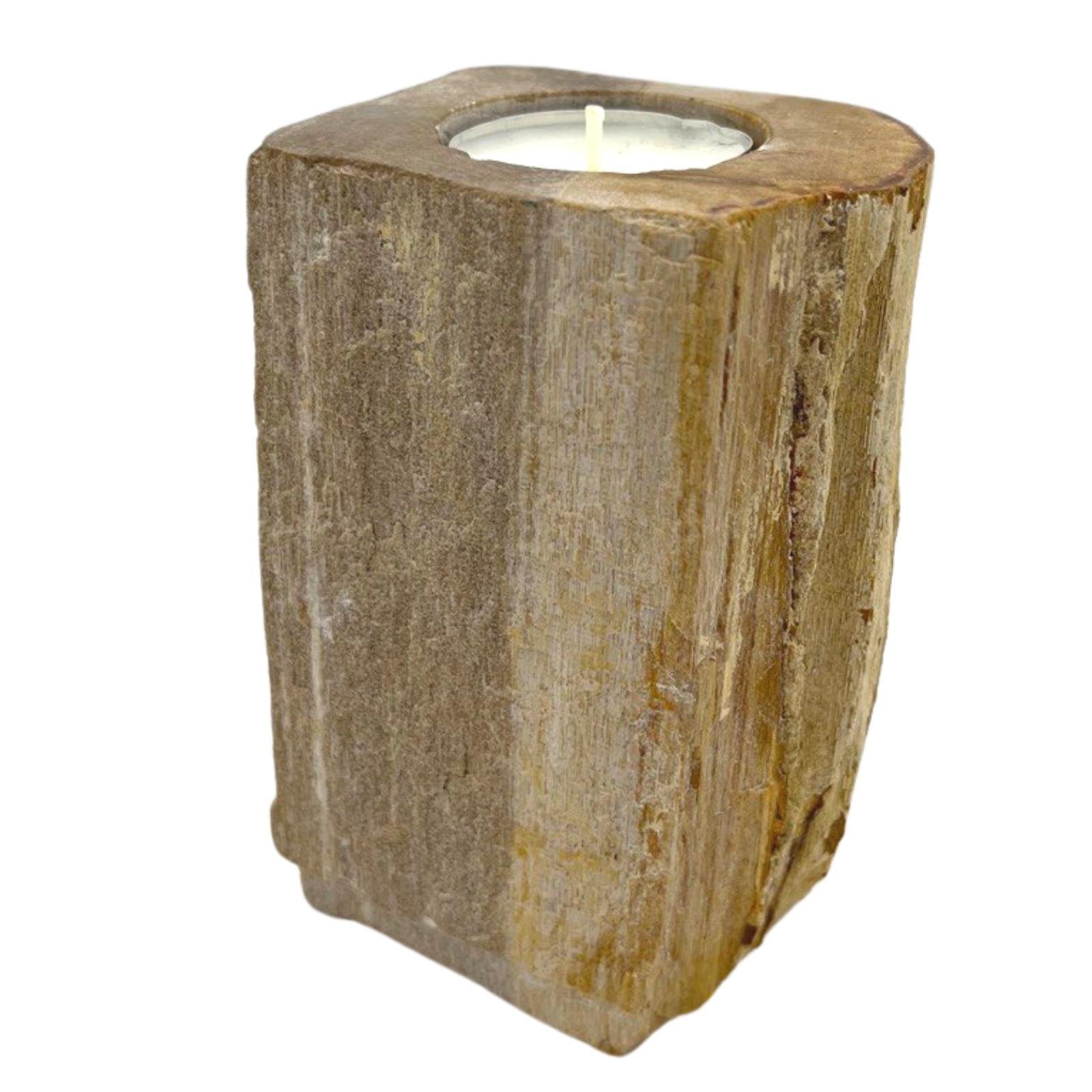 Single Petrified Wood Tall Candle Holder | #product_category# - OneRoofGifts
